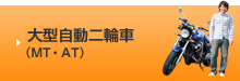 大型自動二輪車（MT・AT）