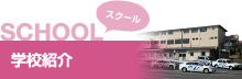 SCHOOL スクール 学校紹介