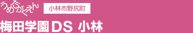 うめだがくえん 小林市野尻町 梅田学園DS 小林